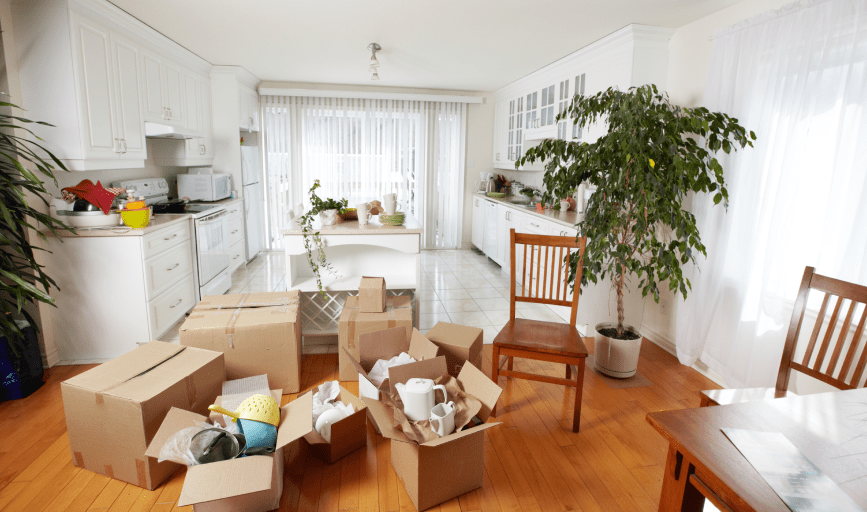 MOVE-IN CLEANING