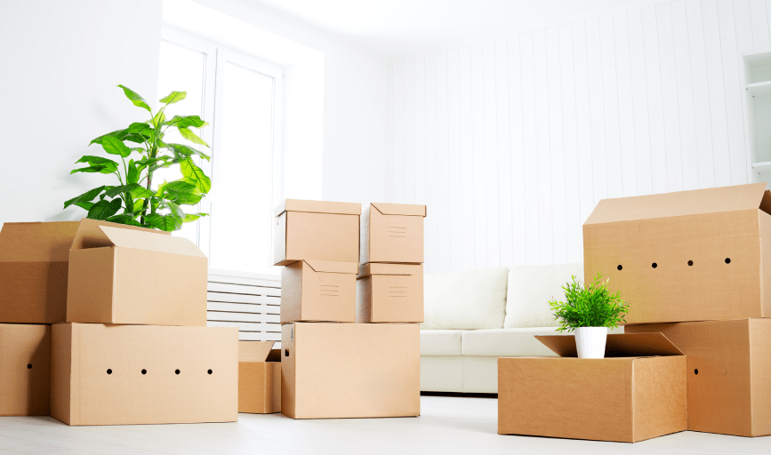 MOVE-OUT CLEANING